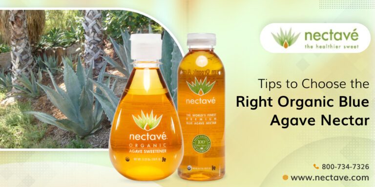 4. Top Brands of Blue Agave Nectar Hair Products - wide 9